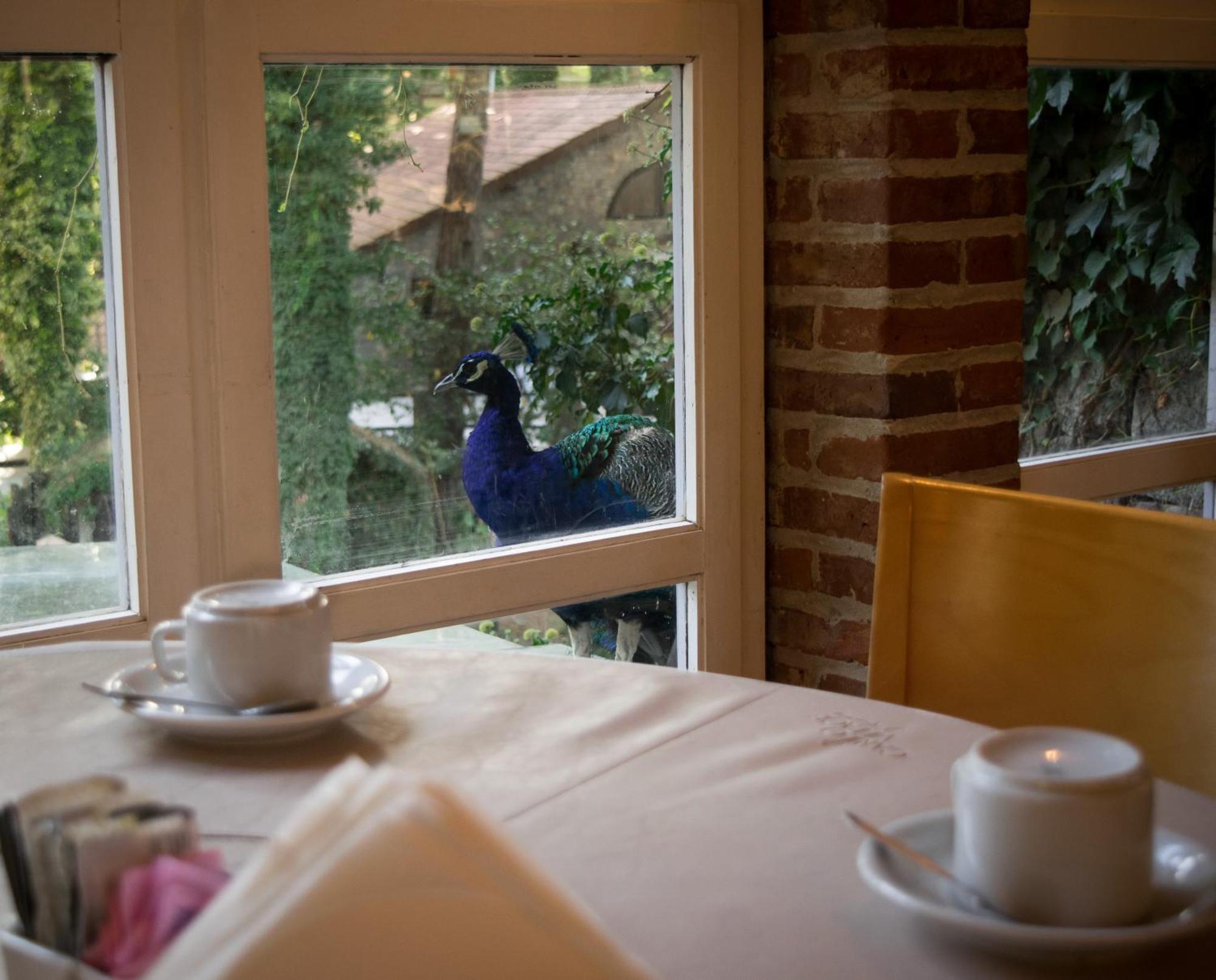 Carilo Village Apart Hotel & Spa מראה חיצוני תמונה